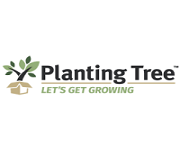 Planting Tree