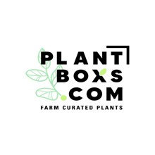 Plantboxs