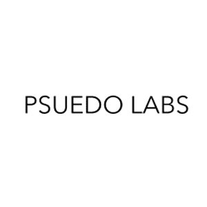 Pseudo Labs