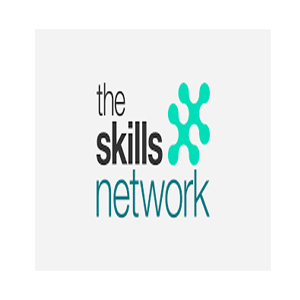 The Skills Network