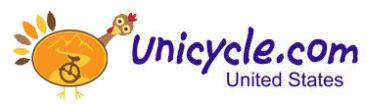 Unicycle