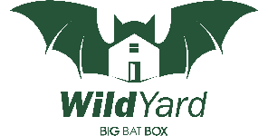 Bigbatbox