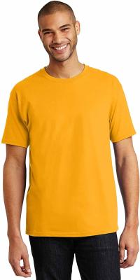 Hanes Men's T-Shirt