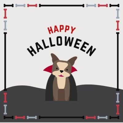 Halloween Gifts for Pets