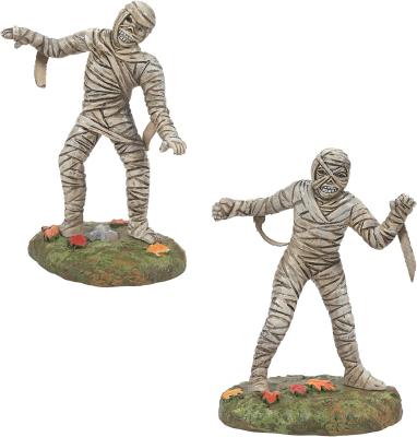 Mysterious Mummy Set