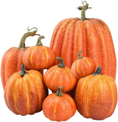 Pumpkin Set